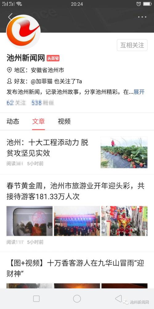 广西最新爆料新闻头条号,揭秘神秘事件背后的真相